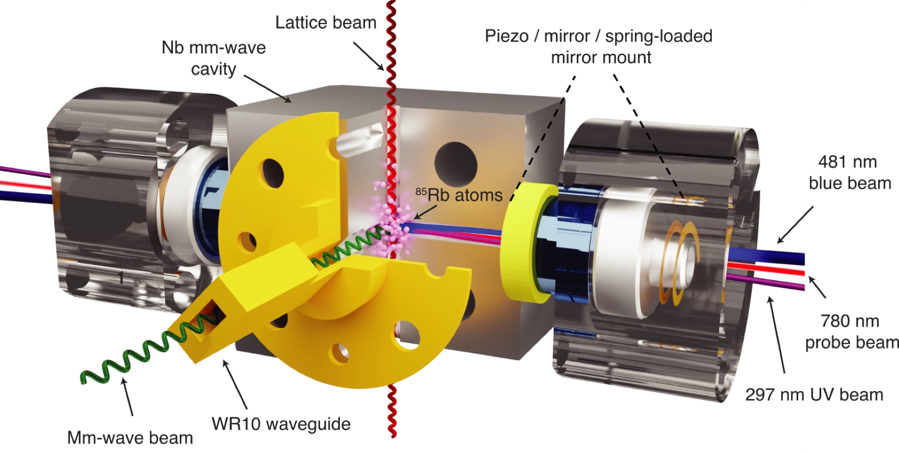 Rendered hybrid millimeter-wave and optical resonator coupling Rydberg atoms to mmW and optical photons.